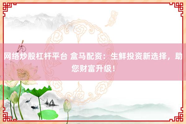 网络炒股杠杆平台 盒马配资：生鲜投资新选择，助您财富升级！