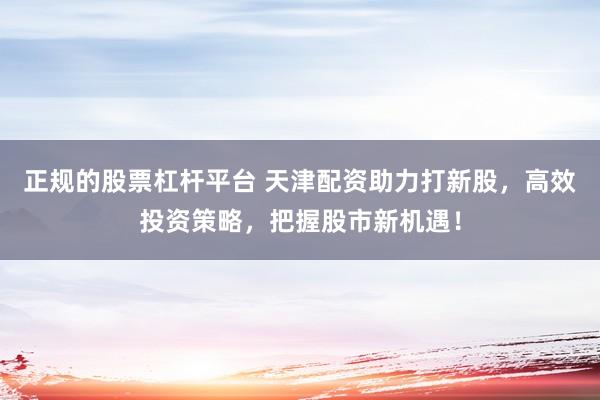 正规的股票杠杆平台 天津配资助力打新股，高效投资策略，把握股市新机遇！