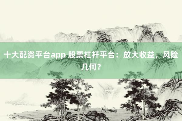 十大配资平台app 股票杠杆平台：放大收益，风险几何？
