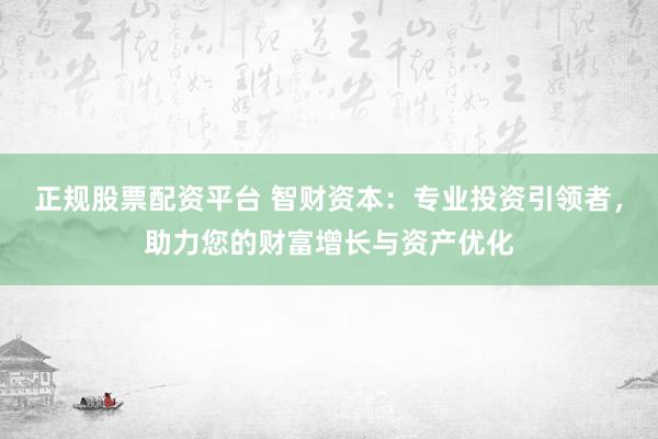 正规股票配资平台 智财资本：专业投资引领者，助力您的财富增长与资产优化