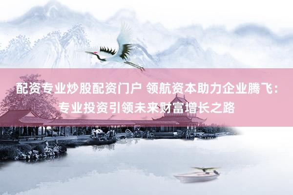 配资专业炒股配资门户 领航资本助力企业腾飞：专业投资引领未来财富增长之路