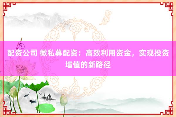 配资公司 微私募配资：高效利用资金，实现投资增值的新路径
