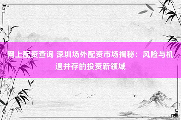 网上配资查询 深圳场外配资市场揭秘：风险与机遇并存的投资新领域