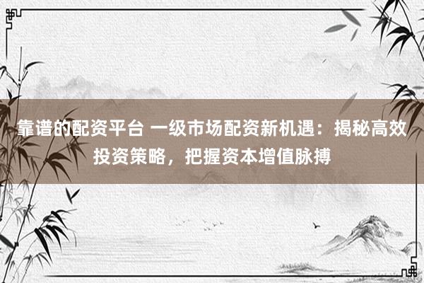 靠谱的配资平台 一级市场配资新机遇：揭秘高效投资策略，把握资本增值脉搏