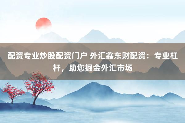 配资专业炒股配资门户 外汇鑫东财配资：专业杠杆，助您掘金外汇市场