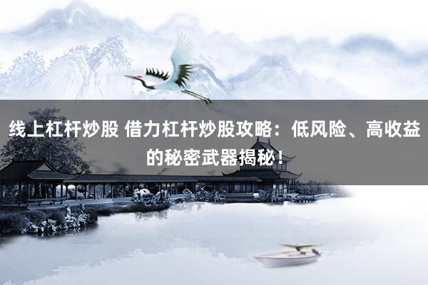 线上杠杆炒股 借力杠杆炒股攻略：低风险、高收益的秘密武器揭秘！