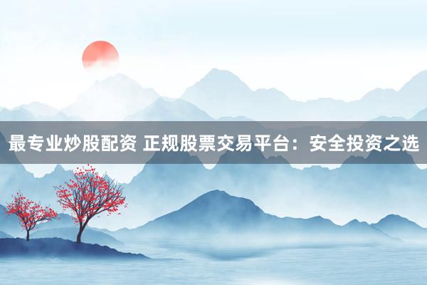 最专业炒股配资 正规股票交易平台：安全投资之选