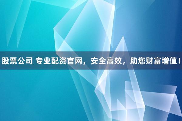 股票公司 专业配资官网，安全高效，助您财富增值！