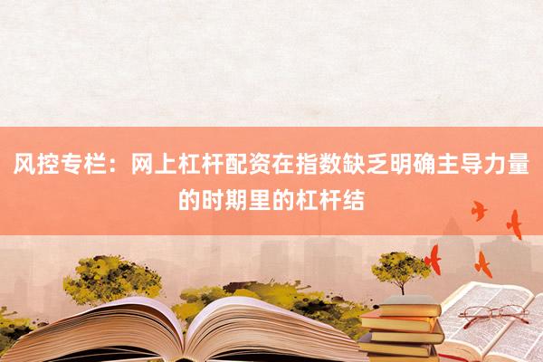 风控专栏：网上杠杆配资在指数缺乏明确主导力量的时期里的杠杆结