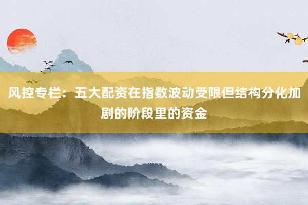 风控专栏：五大配资在指数波动受限但结构分化加剧的阶段里的资金