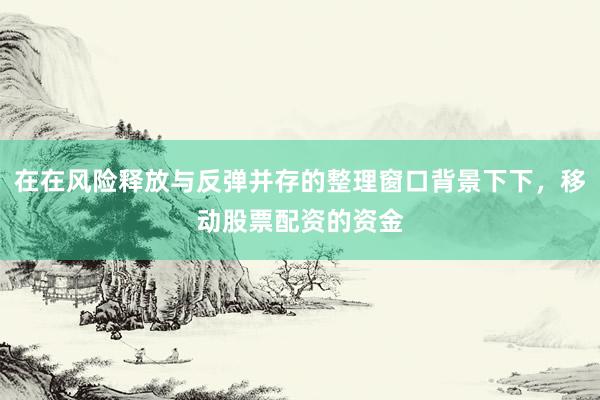在在风险释放与反弹并存的整理窗口背景下下，移动股票配资的资金
